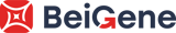 BGNE-LOGO-HORZ-2C-PMS485-2380