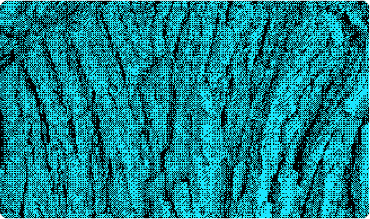 Placeholder Image-5