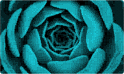 Placeholder Image-6